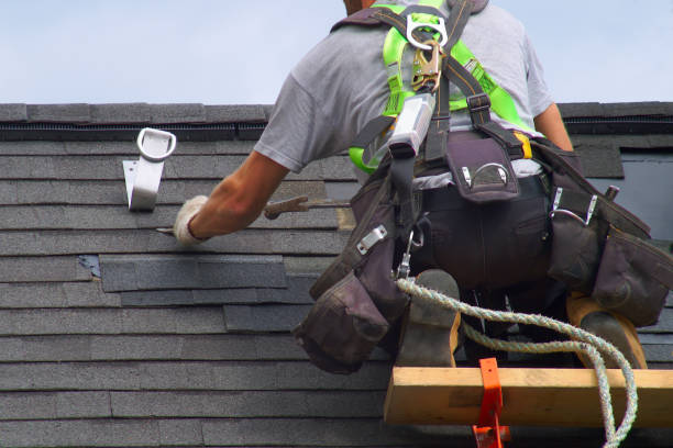 Professional Roofing Contractor in Saucier, MS