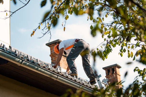 Best Roof Leak Repair  in Saucier, MS