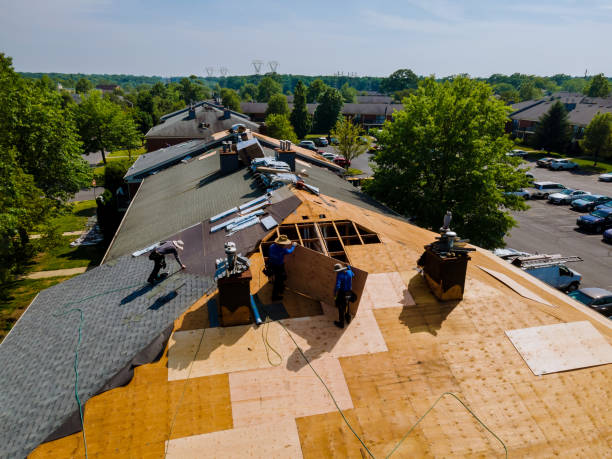 Best Roof Maintenance Services  in Saucier, MS