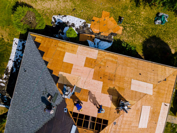 Best Shingle Roofing Installation  in Saucier, MS