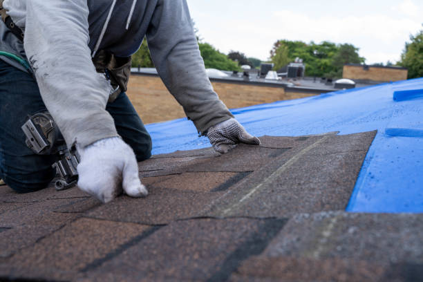 Roof Installation Near Me in Saucier, MS