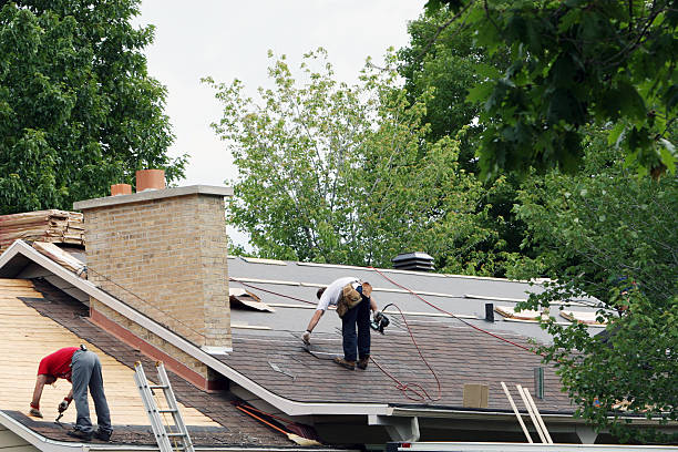 Roof Gutter Cleaning in Saucier, MS