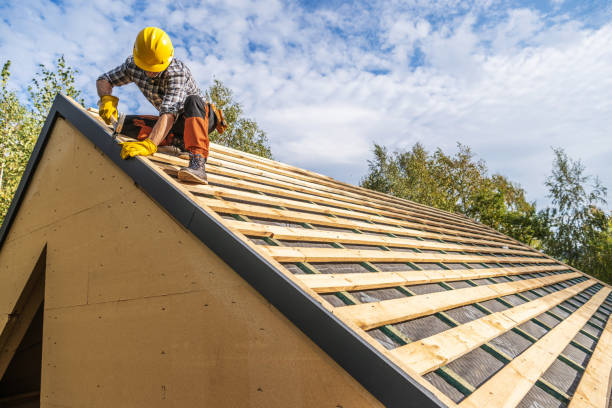 Professional Roofing Contractor in Saucier, MS