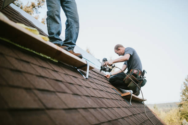 Best Residential Roofing Contractor  in Saucier, MS